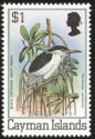 Black-crowned Night-heron (Nycticorax nycticorax)